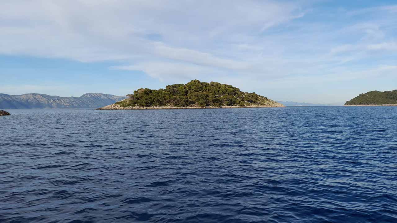Excursion Panorama
