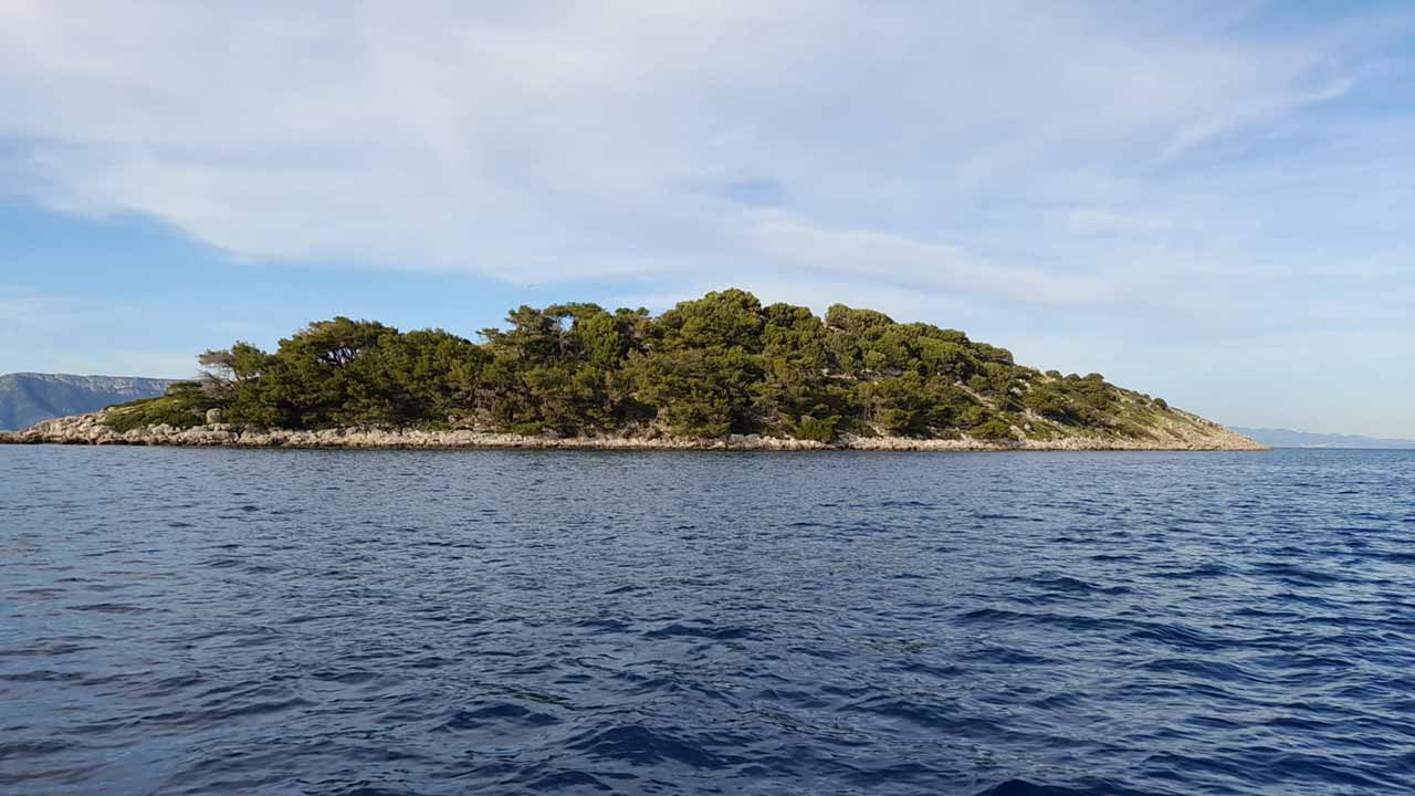 Excursion Panorama